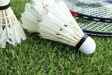 引鲨鱼注意 引鲨鱼注意