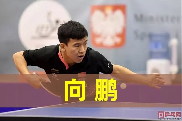 析球队的板 析球队的板